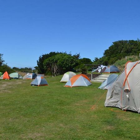 Dunedin Holiday Park Exterior foto